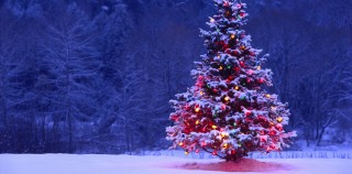 Ultimate 6er – Christmas Movies