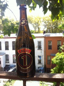 Beer Review, Brooklyn Brewery, Belgian-Style Ale