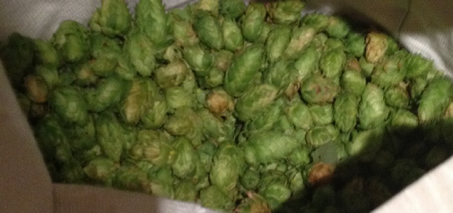 Ultimate 6er: BYOB Party for Hop Lovers