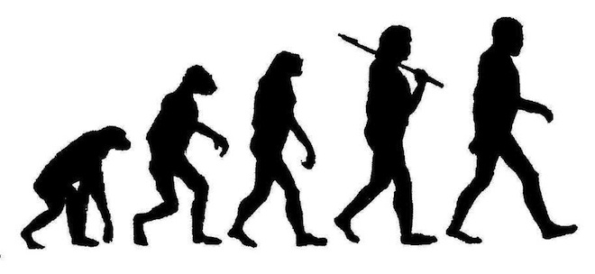 Evolution of Beer Part I