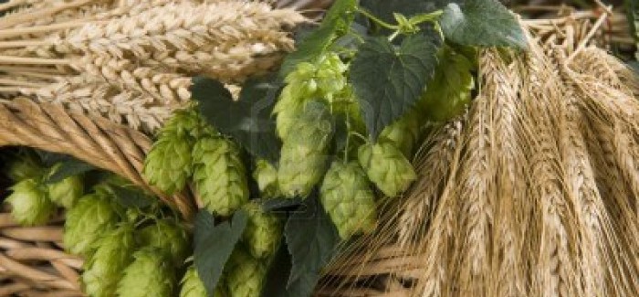 Homebrewing – Define Your Style
