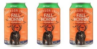 Anderson Valley Fall Hornin' Pumpkin Ale