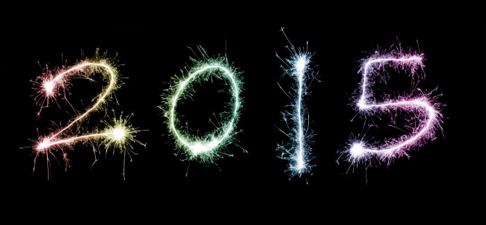 2015 New Year celebration