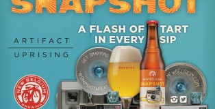 new belgium snapshot wheat