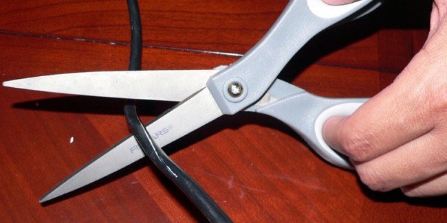 Cord-Cutters: The Future of TV?