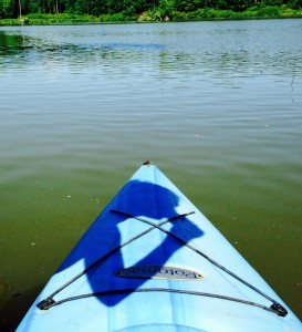 PD kayak shawdow