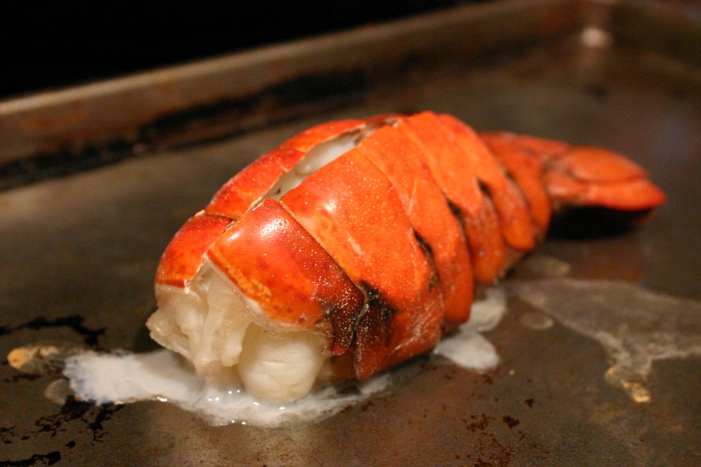 Festina Pêche Lobster Pasta