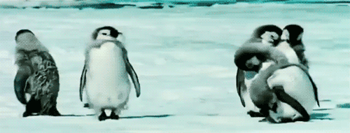 Penguin Gif