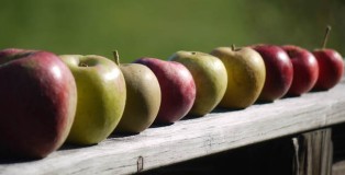 Washington Cider Week