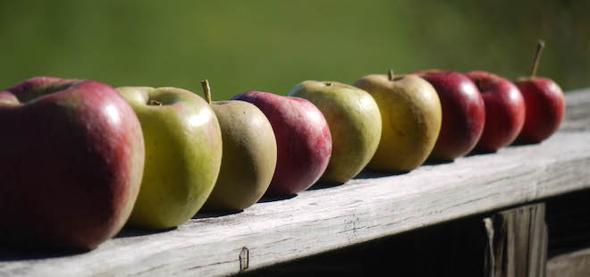 Washington Cider Week