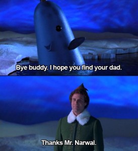 Narwhal Elf