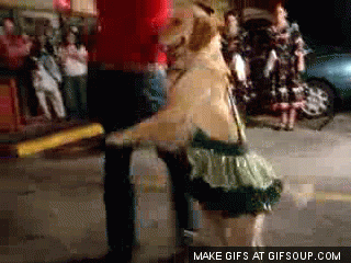 dancing-dog-o