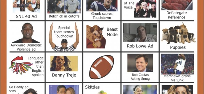 Super Bowl Bingo Board XLIX