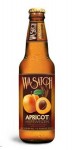 Wasatch Apricot Hefe