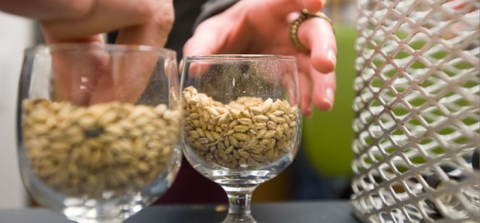 Photo Credit: CSU Source CSU Fermentation Science