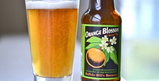 Orange Blossom Cream Ale
