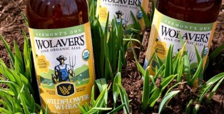 Wolaver's Wildflower Wheat