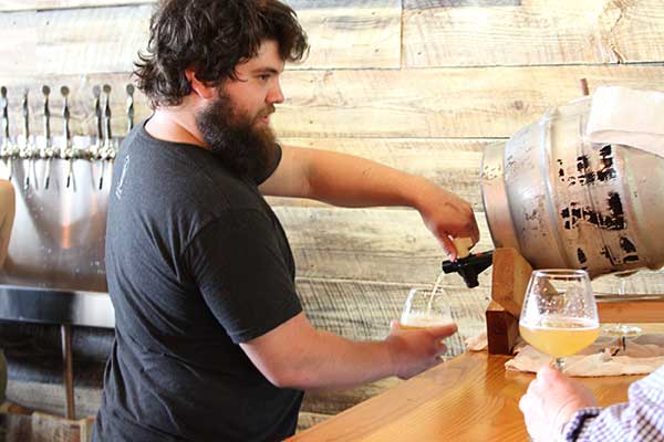 Brewery employee pours sample glasses from cask