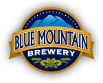 blueMountainLogo