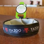 Yazoo Dog Bowl