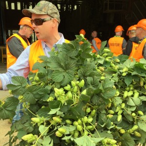 2015 Schlafly TIPA Harvest 1