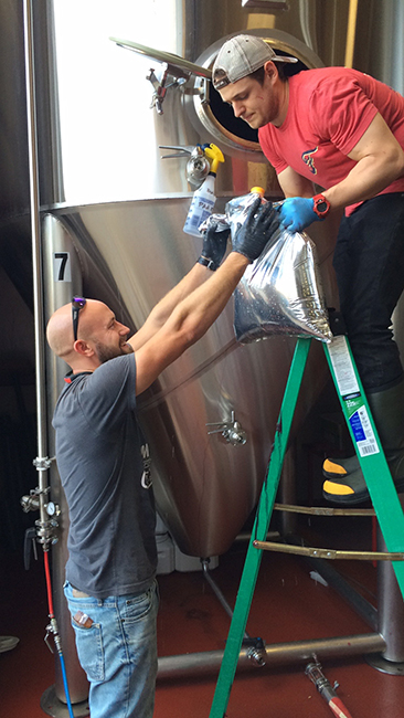 The team adds the cranberry puree during the brewing process. (Courtesy: Red Hare Brewing Co.)