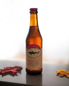 Dogfish Head 90 Minute IPA