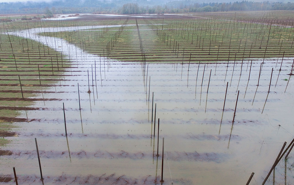 Rogue Farms Flooding