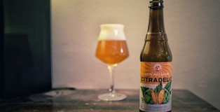 New Belgium Brewing Citradelic Tangerine IPA