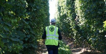 Elk Mountain Hop Farms Anheuser Busch Goose Island Idaho