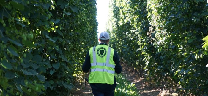 Elk Mountain Hop Farms Anheuser Busch Goose Island Idaho