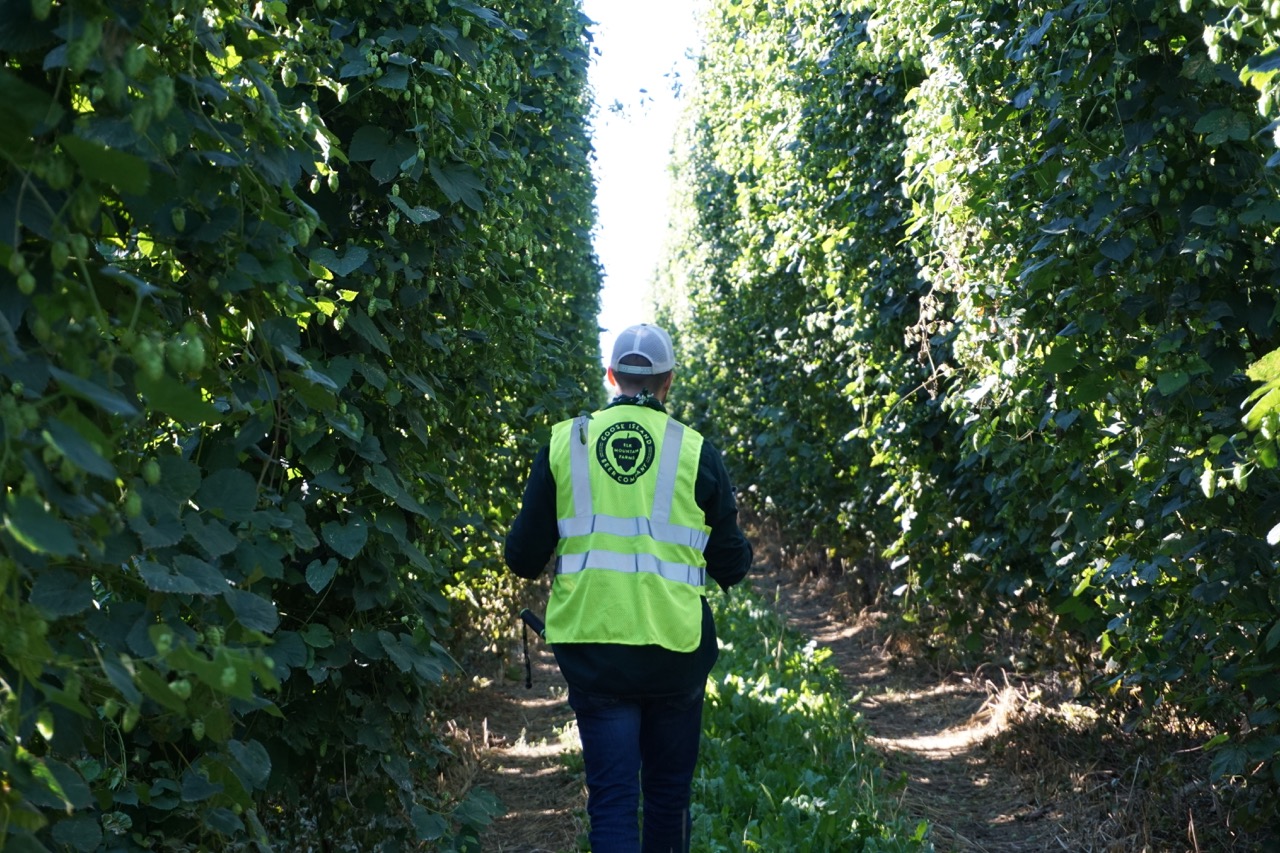 Elk Mountain Hop Farms Anheuser Busch Goose Island Idaho