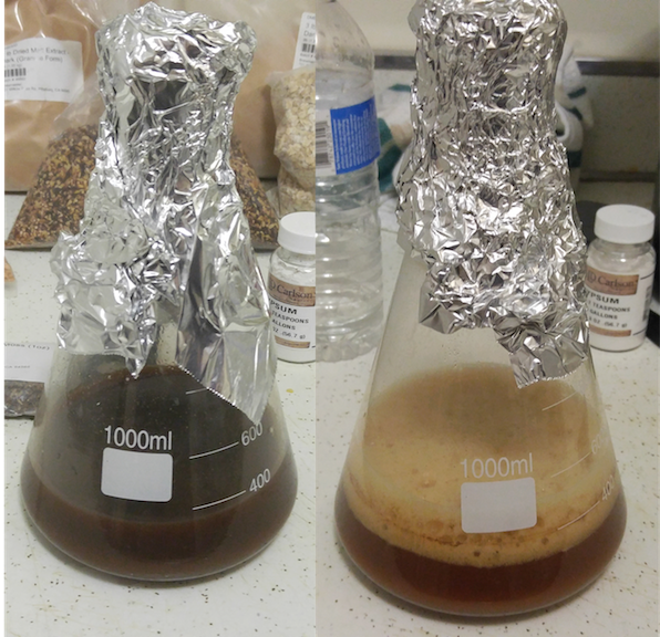 Yeast Starter Before / After (Photo by Scott Johnson)