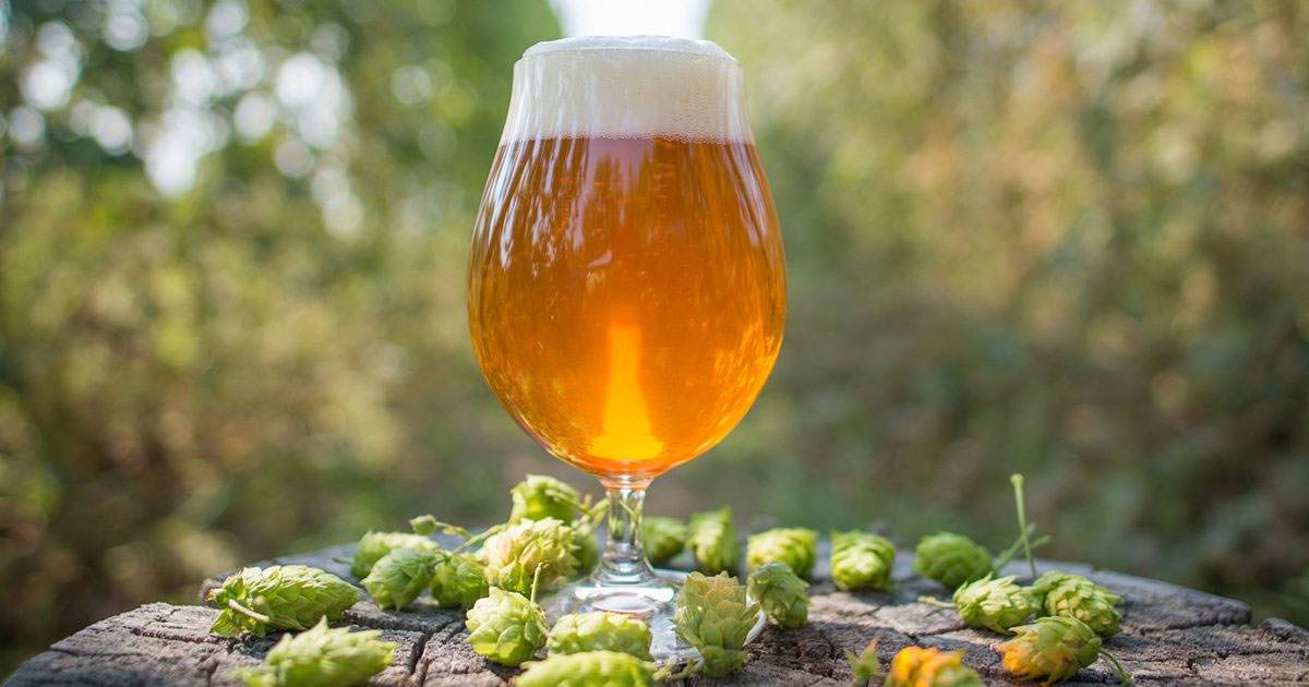 National IPA Day Midwest Regional IPA Roundup