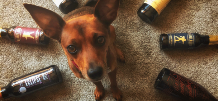 National Dog Day: The Dogs of PorchDrinking