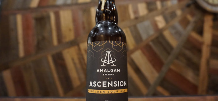 Amalgam Brewing