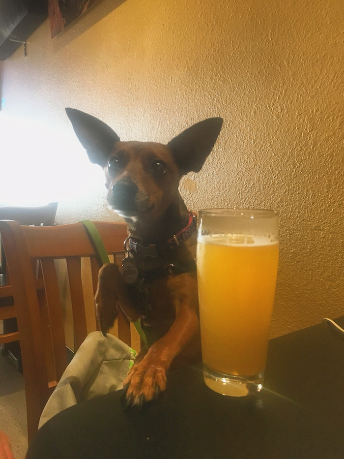 What We're Drinking
