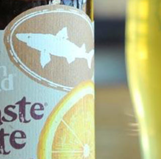 dogfish head namaste white belgian style white ale