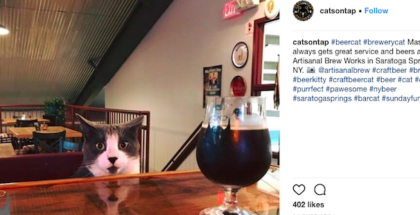 CatsOnTap