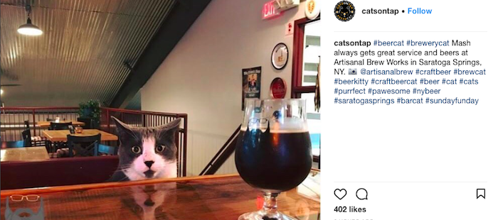 CatsOnTap