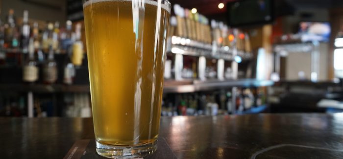 Wynkoop Moringa Pale Lager