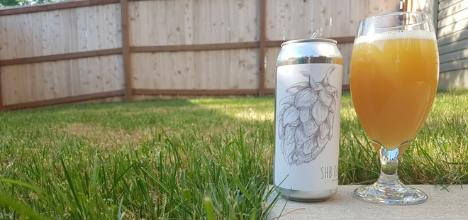 Narrow Gauge SHB DDH Citra