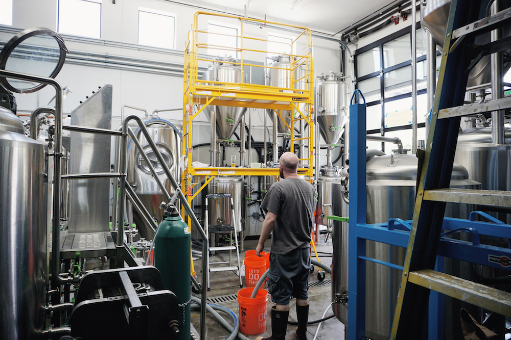 Novel Strand Brewing Tamir Danon Denver