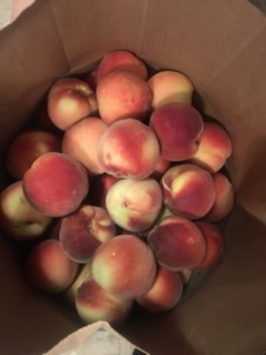 Colorado Peaches