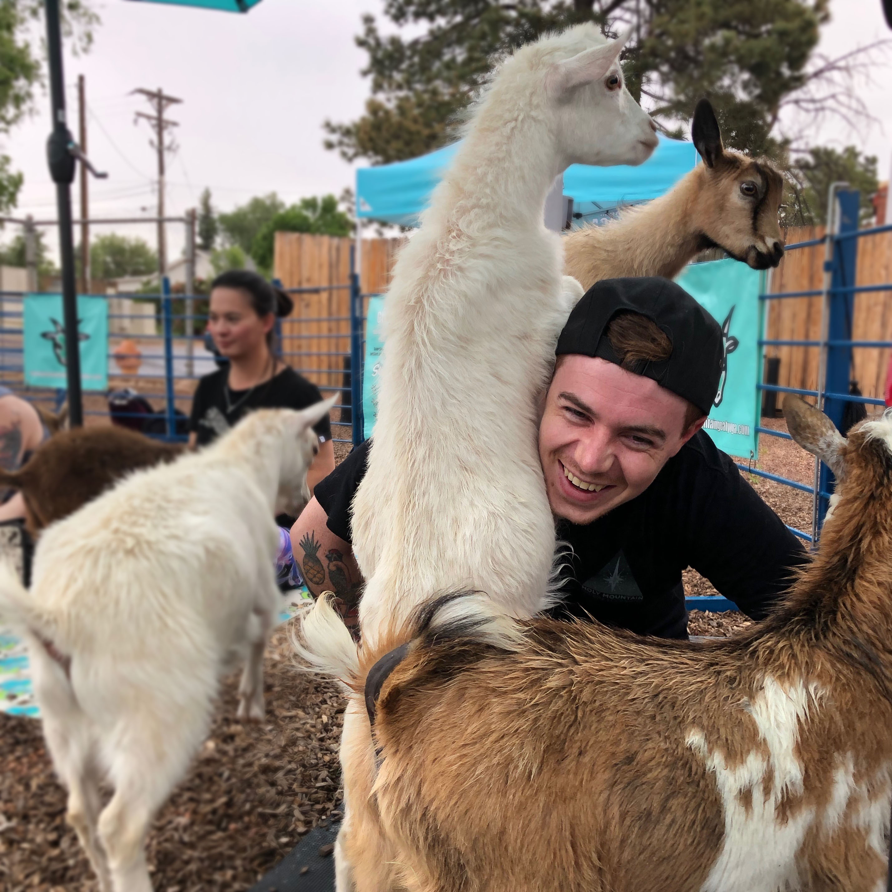 Goat Yoga at Goat Patch Brewing Co.