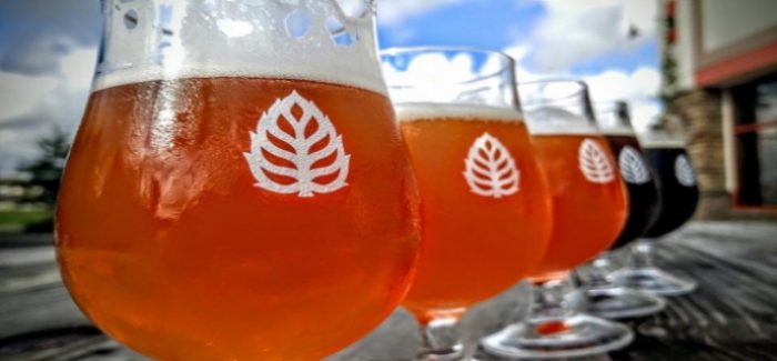 Minnesota’s Lupulin Brewing Company Acquires Hydra Beer Company