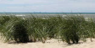 indiana dunes