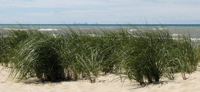 indiana dunes