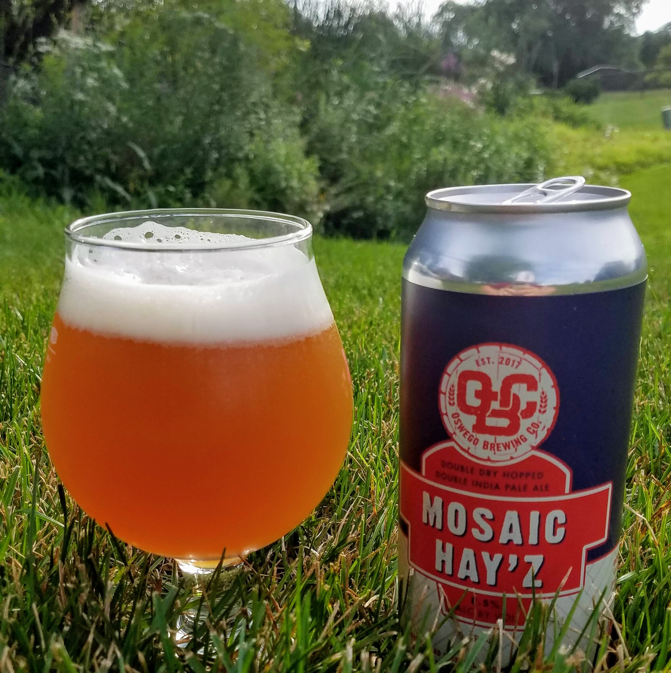 Oswego Brewing Mosaic Hayz