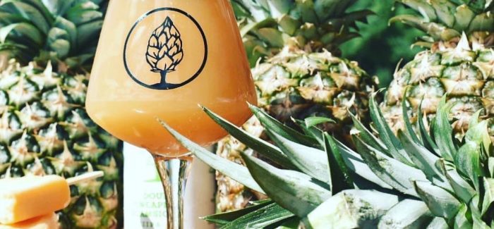 Beer Tree Brew Co. | Pineapple Creamsicle IPA